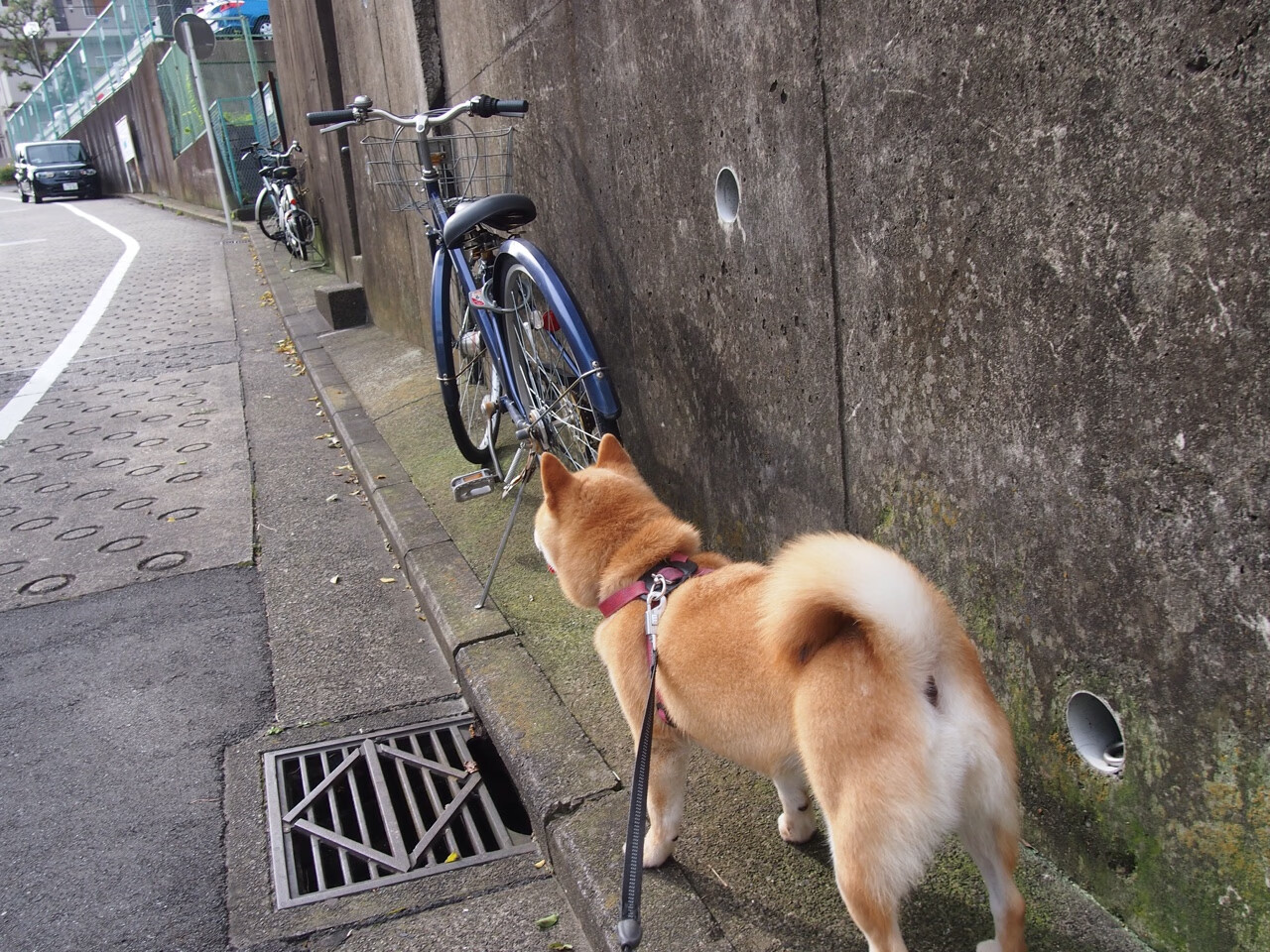 冰与火之夜,墨西哥绝杀宿命,莫德里奇熔铸传说